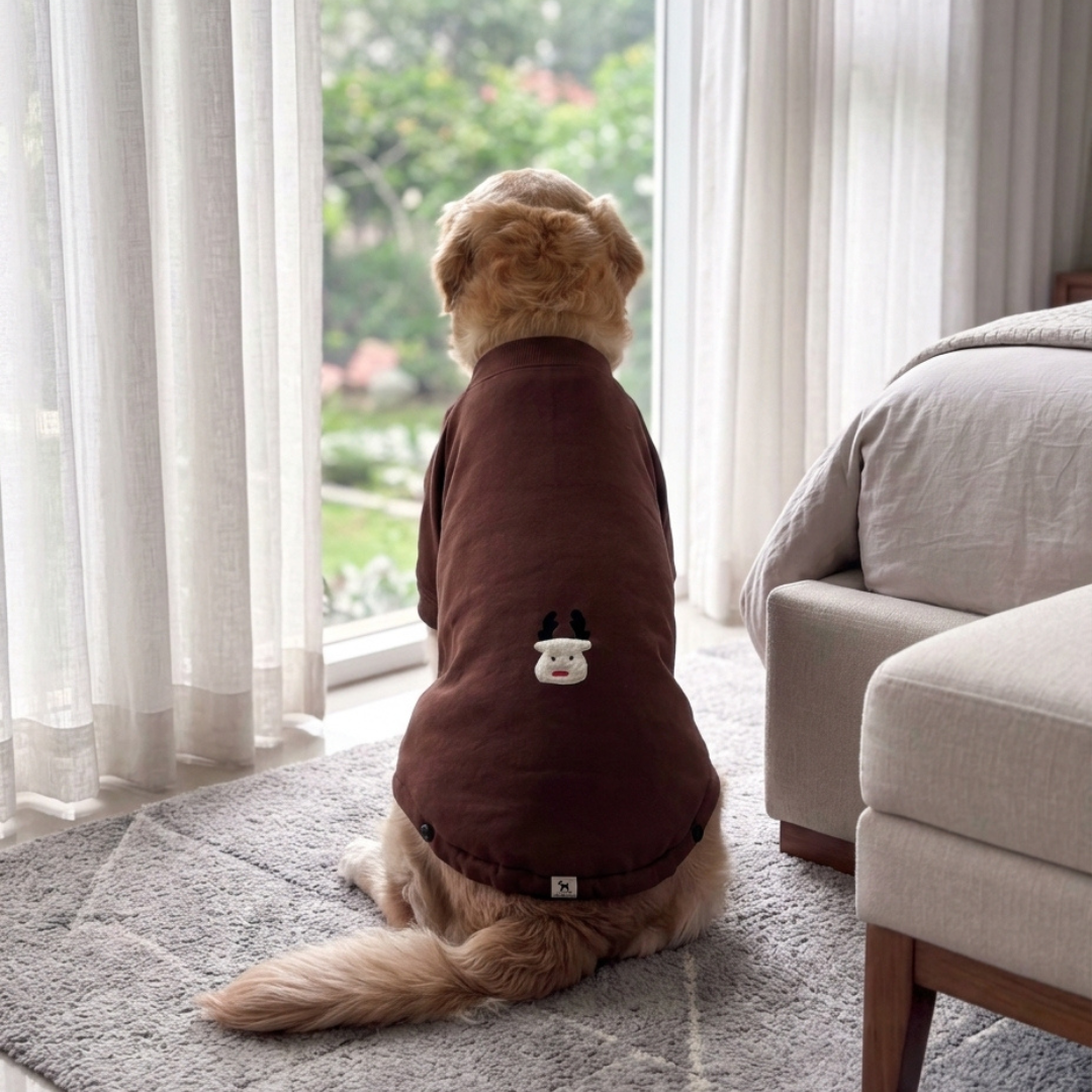 Dog sweatshirt online Dubai| Best dog sweatshirts | Dog winter clothes online Dubai| Dog Hoodie Dubai | PoochMate UAE
