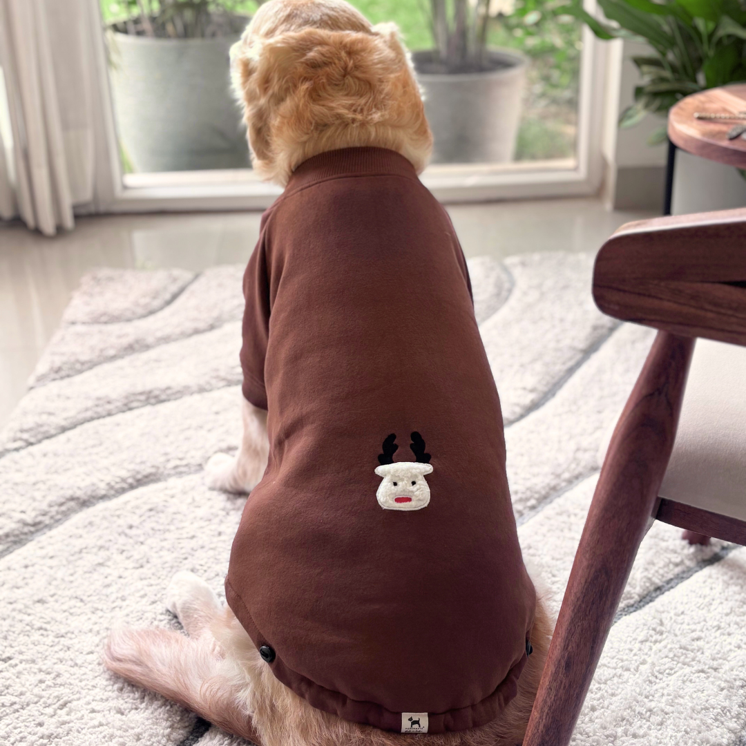 Dog Winter Clothes Dubai | Dog clothes online UAE | Dog hoodie Dubai
