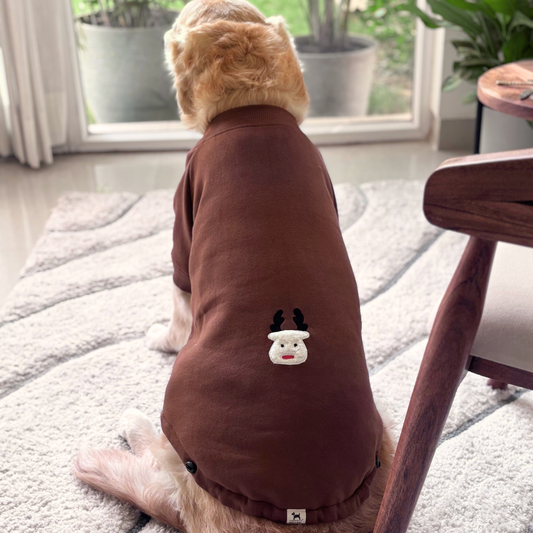 Dog Winter Clothes Dubai | Dog clothes online UAE | Dog hoodie Dubai