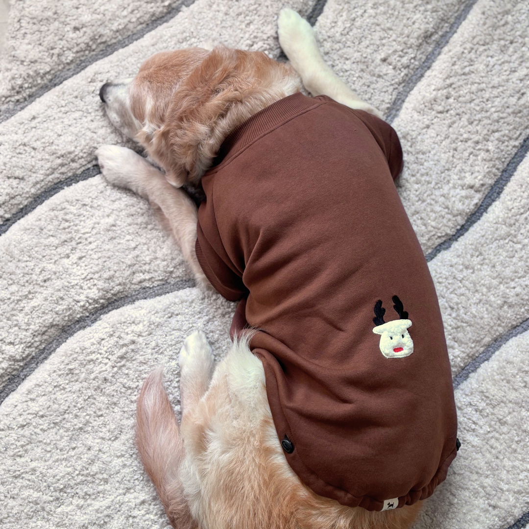 Dog Clothes Dubai | Dog clothes online UAE | Dog hoodie Dubai | Dog sweatshirts online Dubai