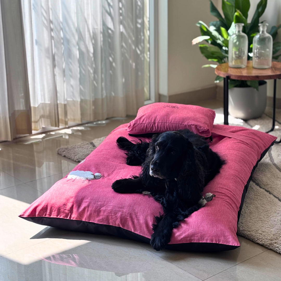 Best Dog beds Dubai | Dog beds with washable covers Dubai | Cotton Dog Beds Online Dubai