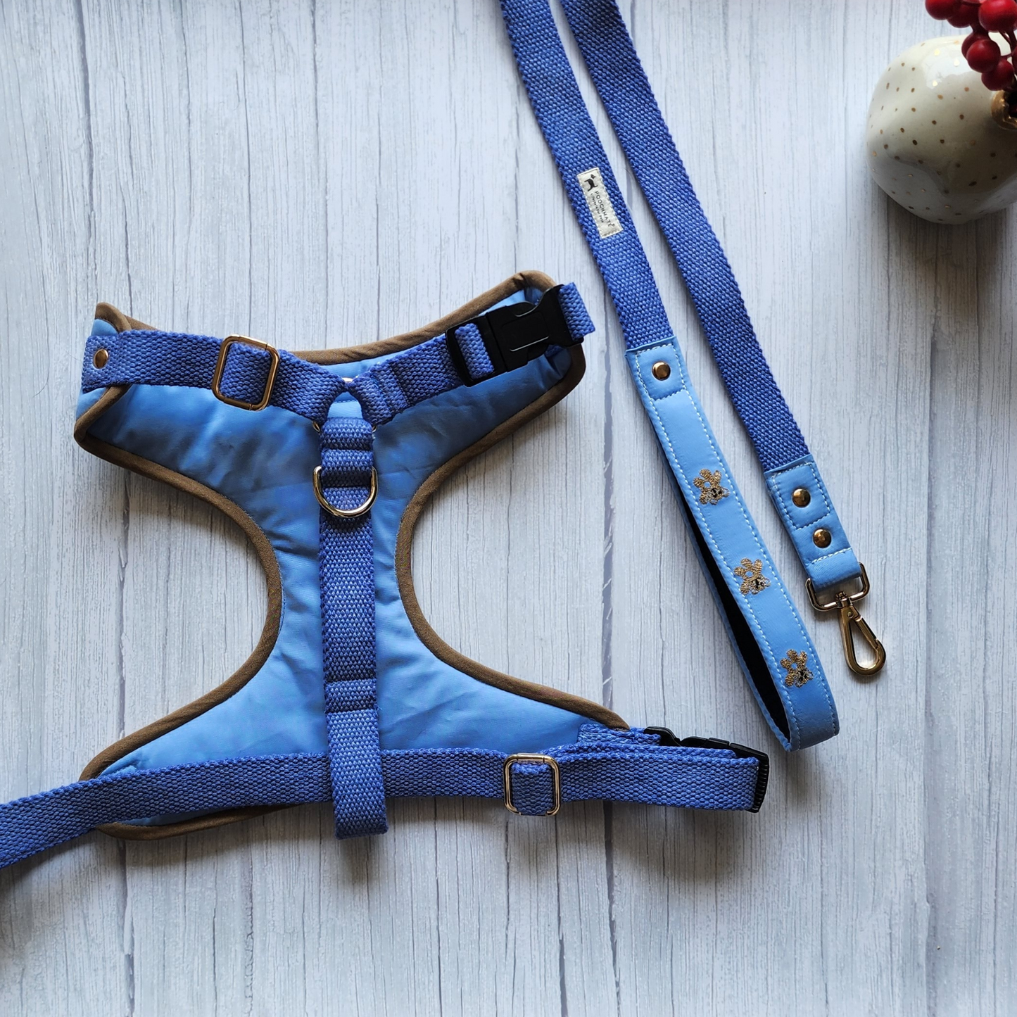 PoochMate Cornflower Blue Teddy Dog Harness Leash Set