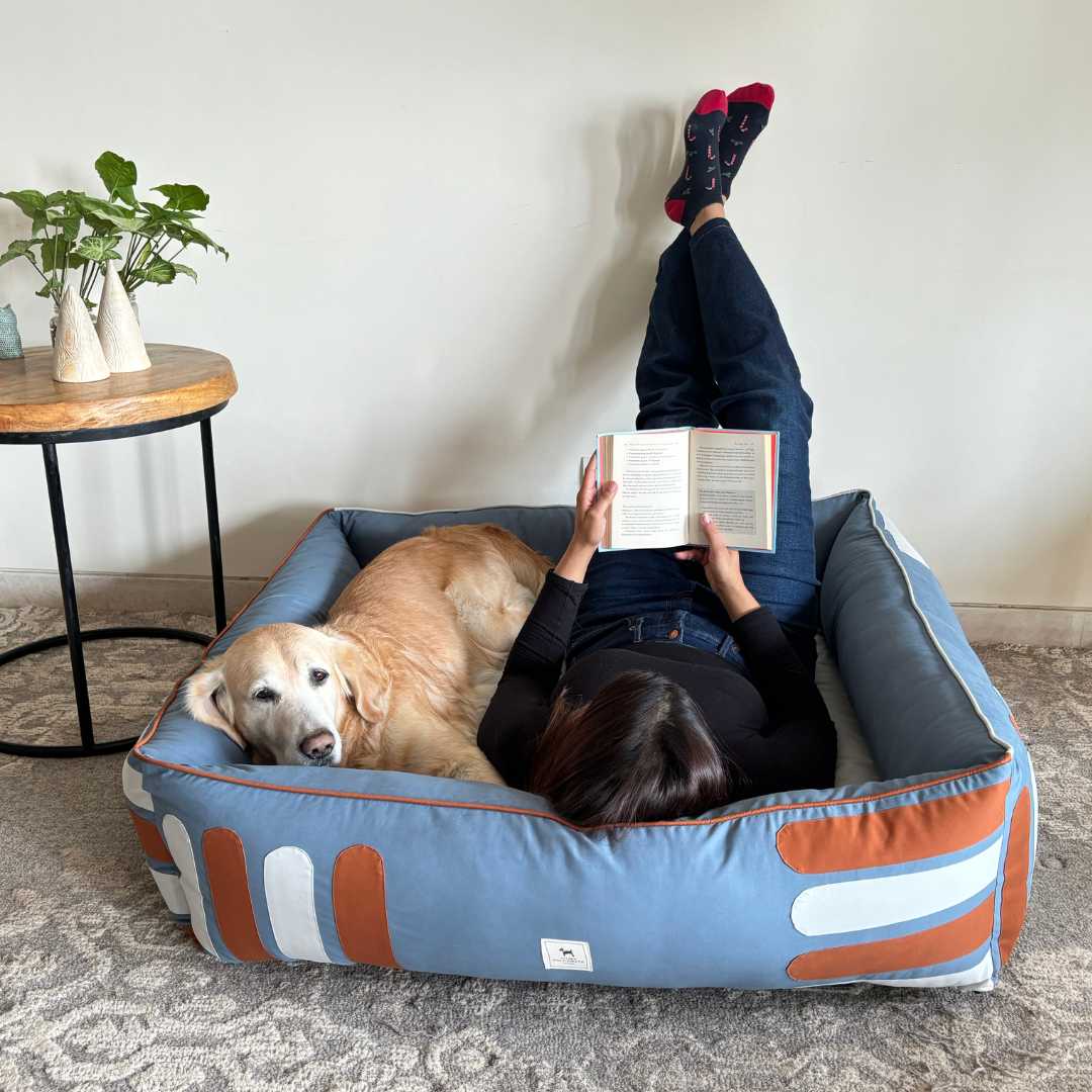 Dubai Pet Store | Dog beds with washable covers