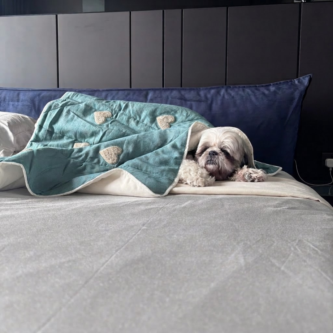 PoochMate Blanket | Soft cotton dog blanket Dubai| Soft blankets for pets Dubai | Best dog blankets online UAE