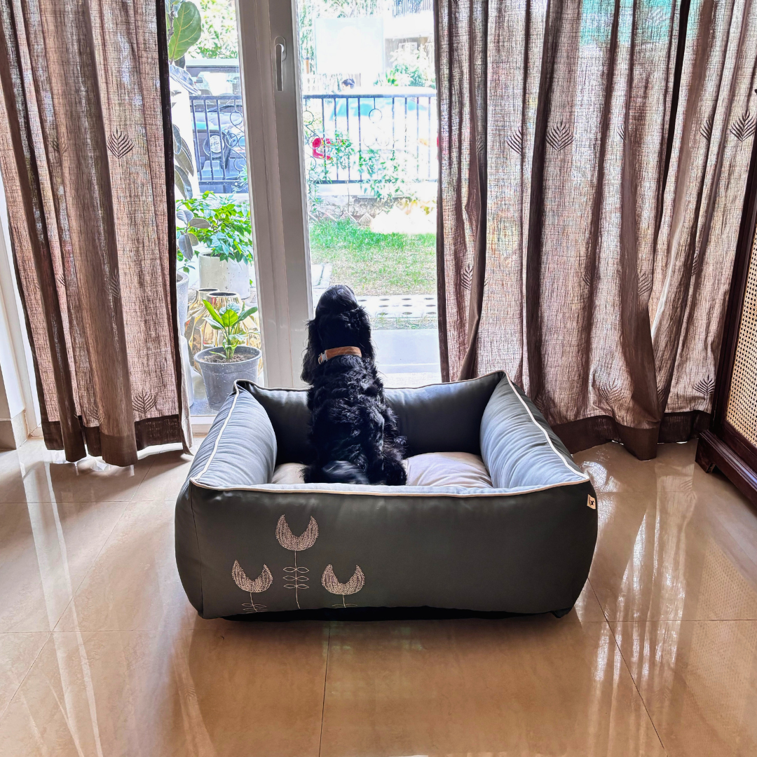 Cotton Dog Beds Dubai | Beds for medium dogs online UAE