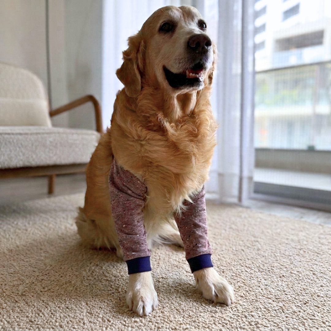Dog Elbow Cover | Dog Elbow l Protector | Dog Elbow Callus Protector | Dog Elbow Sleeve | Elbow covers for dogs online Dubai | Elbow Sleeve for dogs Dubai