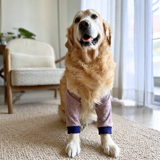 Dog Elbow Cover | Dog Elbow l Protector | Dog Elbow Callus Protector | Dog Elbow Sleeve | Elbow covers for dogs online Dubai | Elbow Sleeve for dogs Dubai