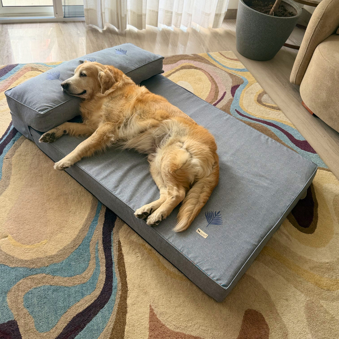 Orthopaedic dog beds Dubai| Memory foam dog beds Dubai| Memory foam dog sofa bed Dubai| PoochMate UAE memory Foam Dog bed