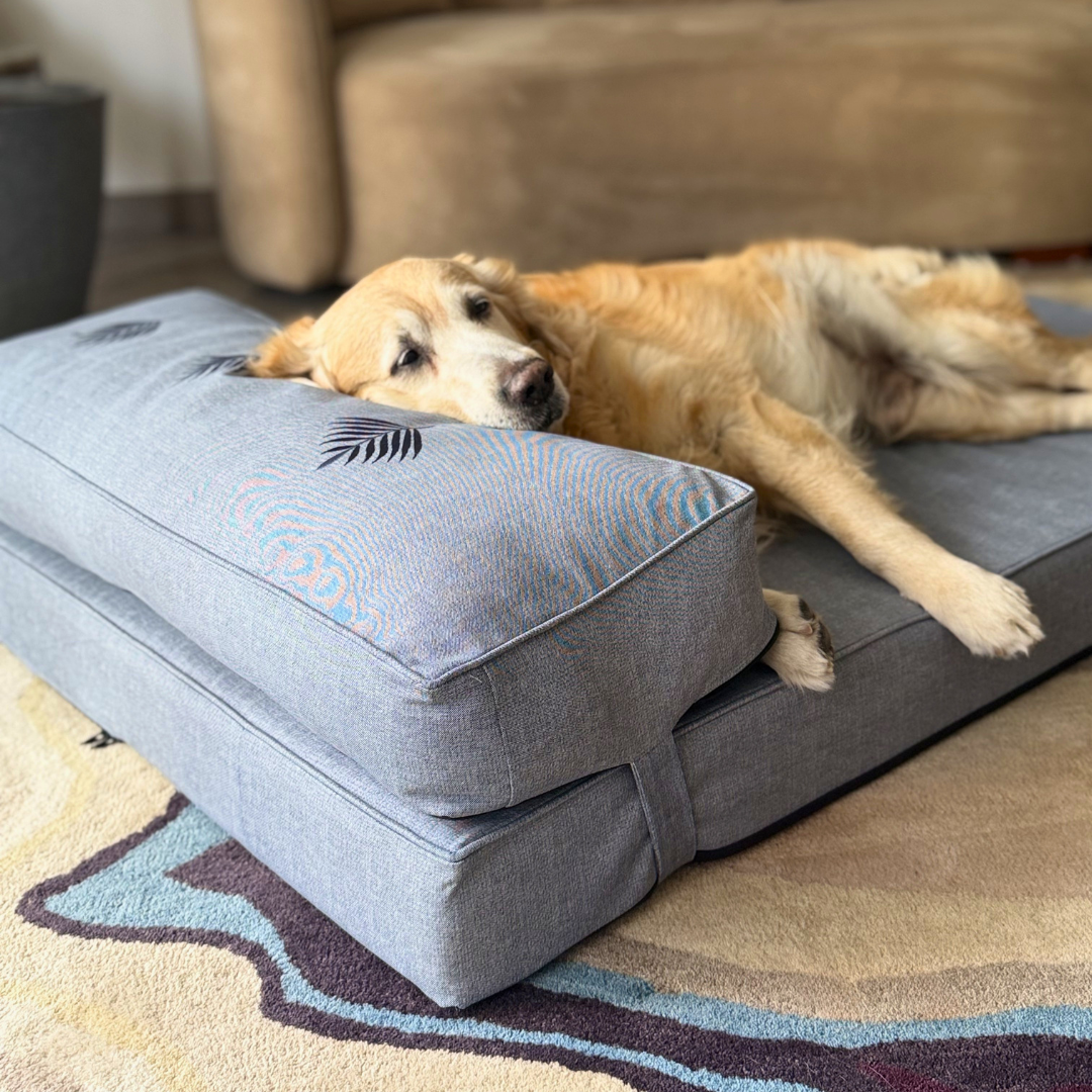 Orthopaedic dog beds Dubai| Memory foam dog beds Dubai| Memory foam dog sofa bed Dubai| PoochMate UAE memory Foam Dog bed