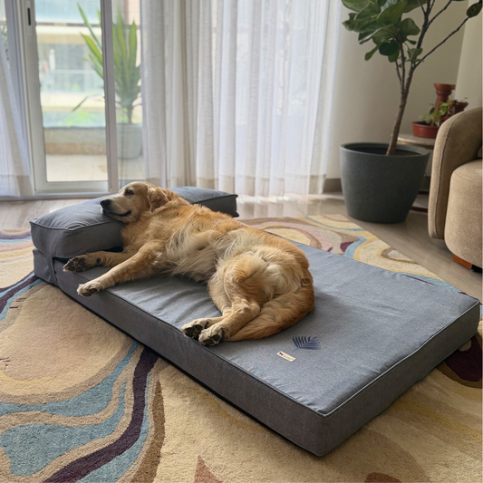 Orthopaedic dog beds Dubai| Memory foam dog beds Dubai| Memory foam dog sofa bed Dubai| PoochMate UAE memory Foam Dog bed