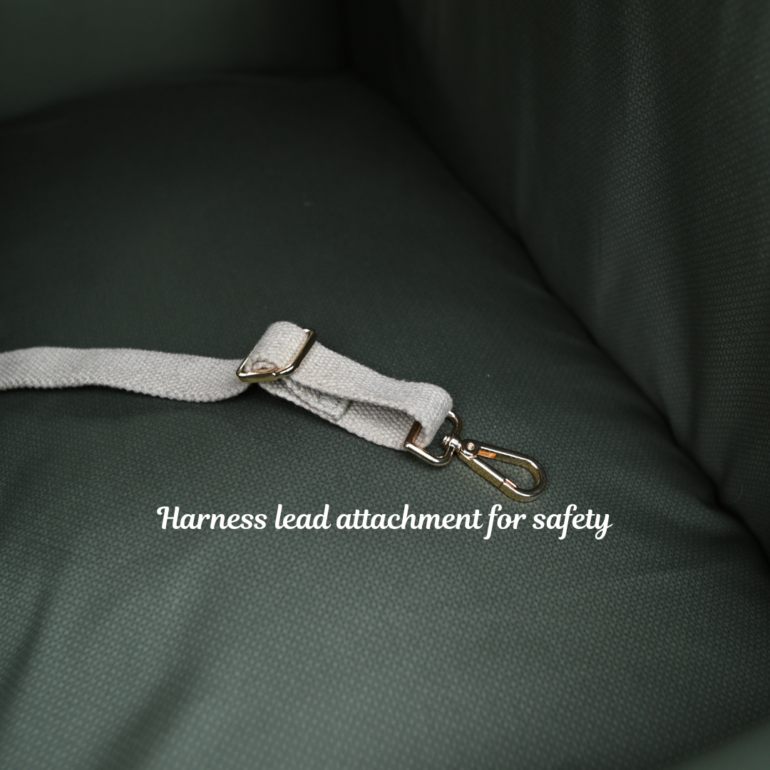 Dog Travel beds with safety harness attachment | Travel Dog Beds online Dubai