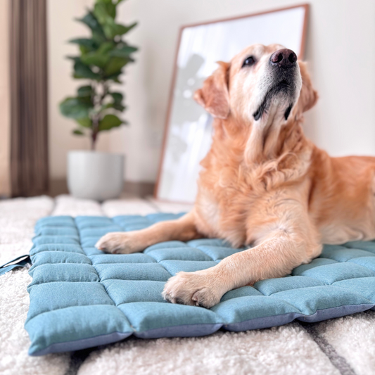 Indoor Dog Mats Dubai | Reversible Pet Mats online UAE