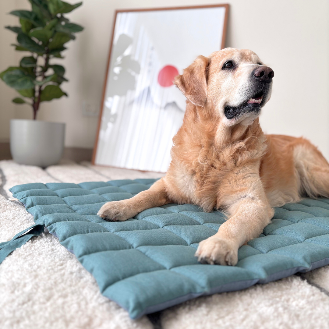 Indoor pet mats Dubai | Crate Dog Mats Dubai