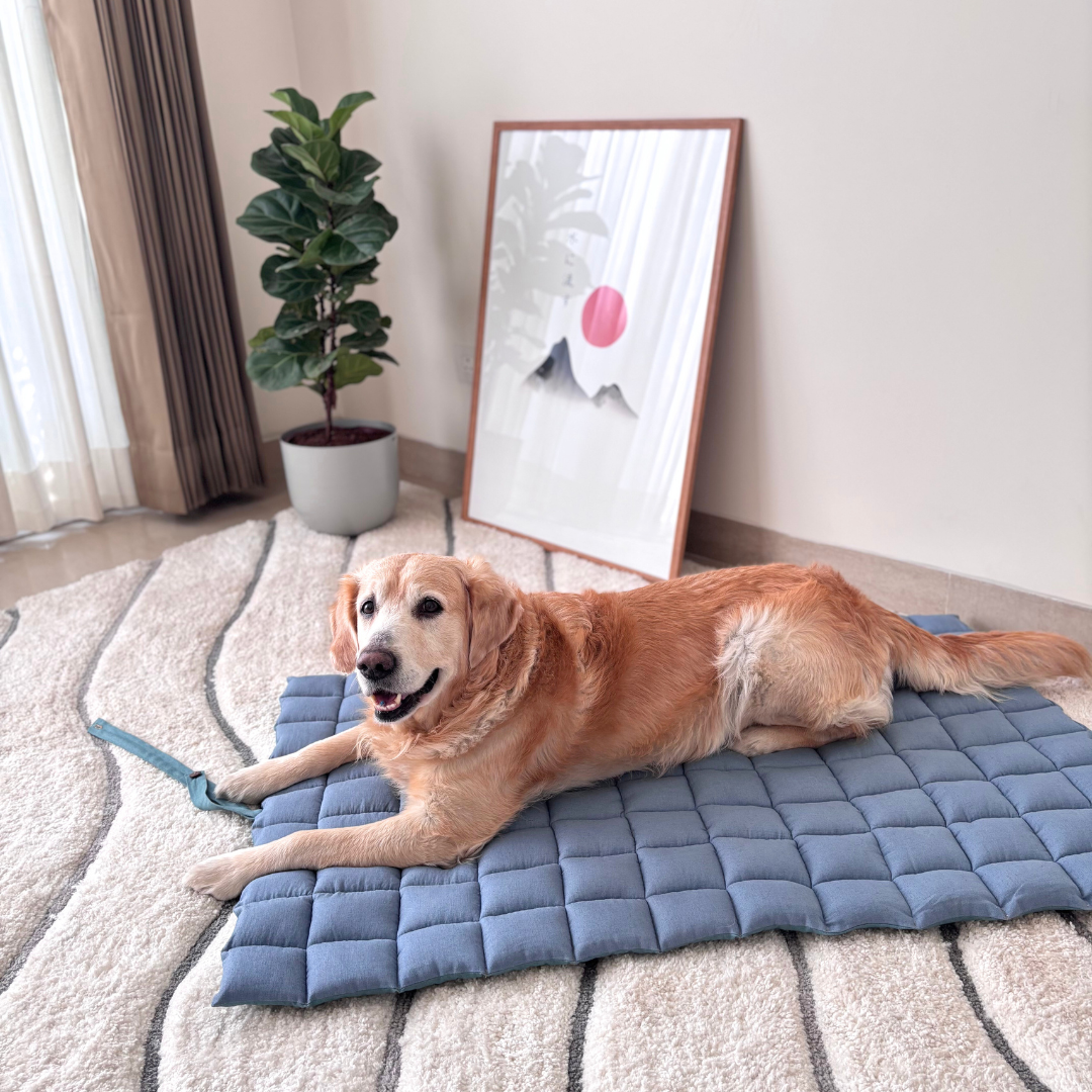Cotton Dog Mats Dubai | Pet Mats Dubai