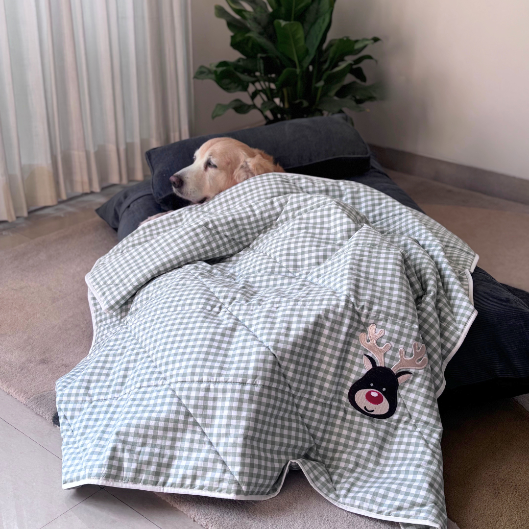 Cotton dog blanket Dubai | Soft Cotton pet blanket | Dog Christmas blanket | Cotton dog blankets Dubai