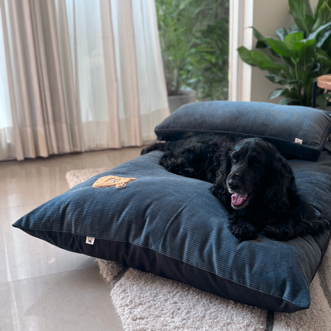 Flat Dog Beds Dubai | Large dog bed with removable cover | Washable dog beds online UAE