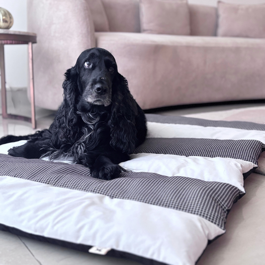 Cotton pet Mats Dubai | Cotton Dog Mats Dubai