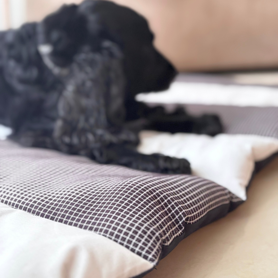 Pet Mats online UAE |Large dog mats Dubai