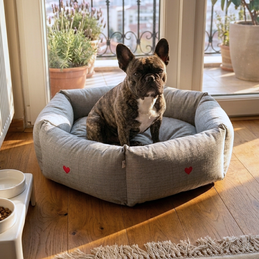 Best Washable Dog Beds Dubai | Best washable dog beds Dubai | Washable dog beds Dubai price | Washable cotton dog bed Dubai online