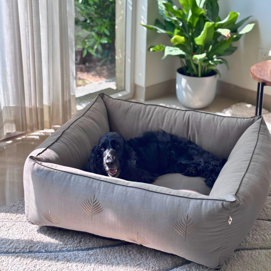 Best dog beds Dubai | Luxury Dog Beds Dubai | PoochMate UAE