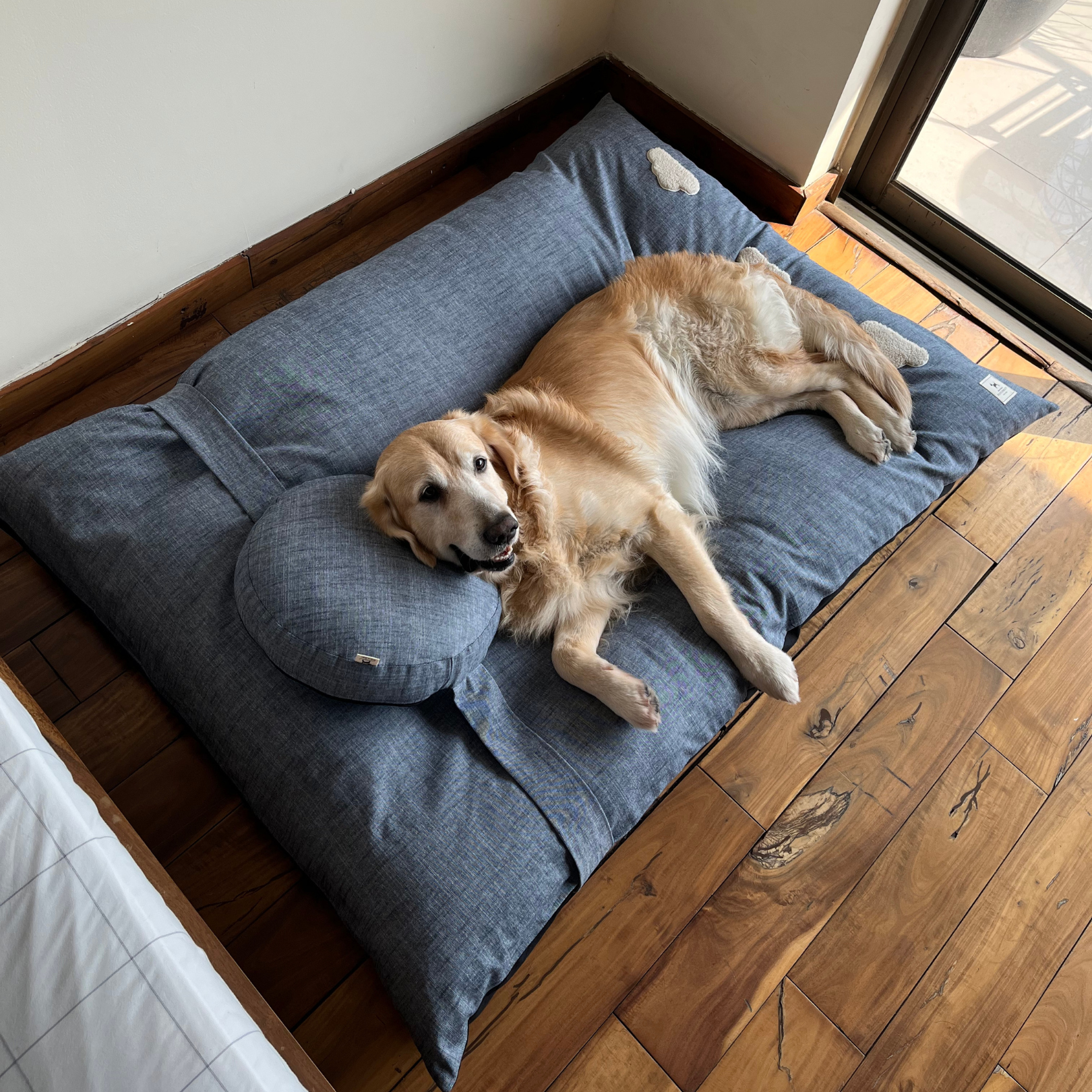 Dubai Online Pet Store | Large washable dog beds Dubai