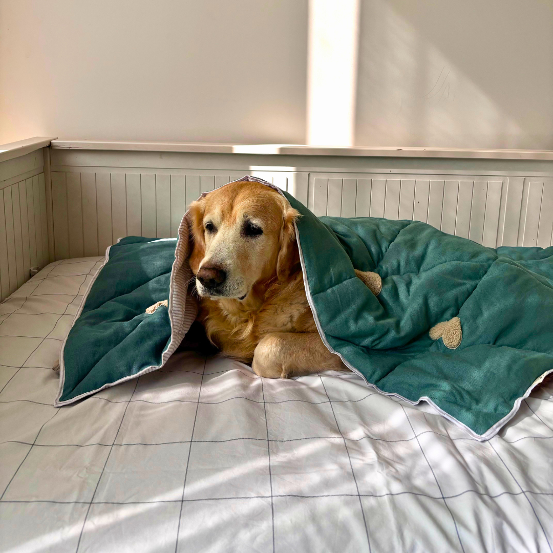 Soft cotton dog blankets in Dubai | Linen dog blankets online Dubai