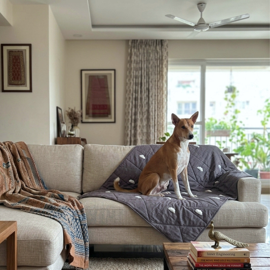Cotton Dog Blankets Dubai | Cotton Dog Blankets online Dubai | PoochMate UAE
