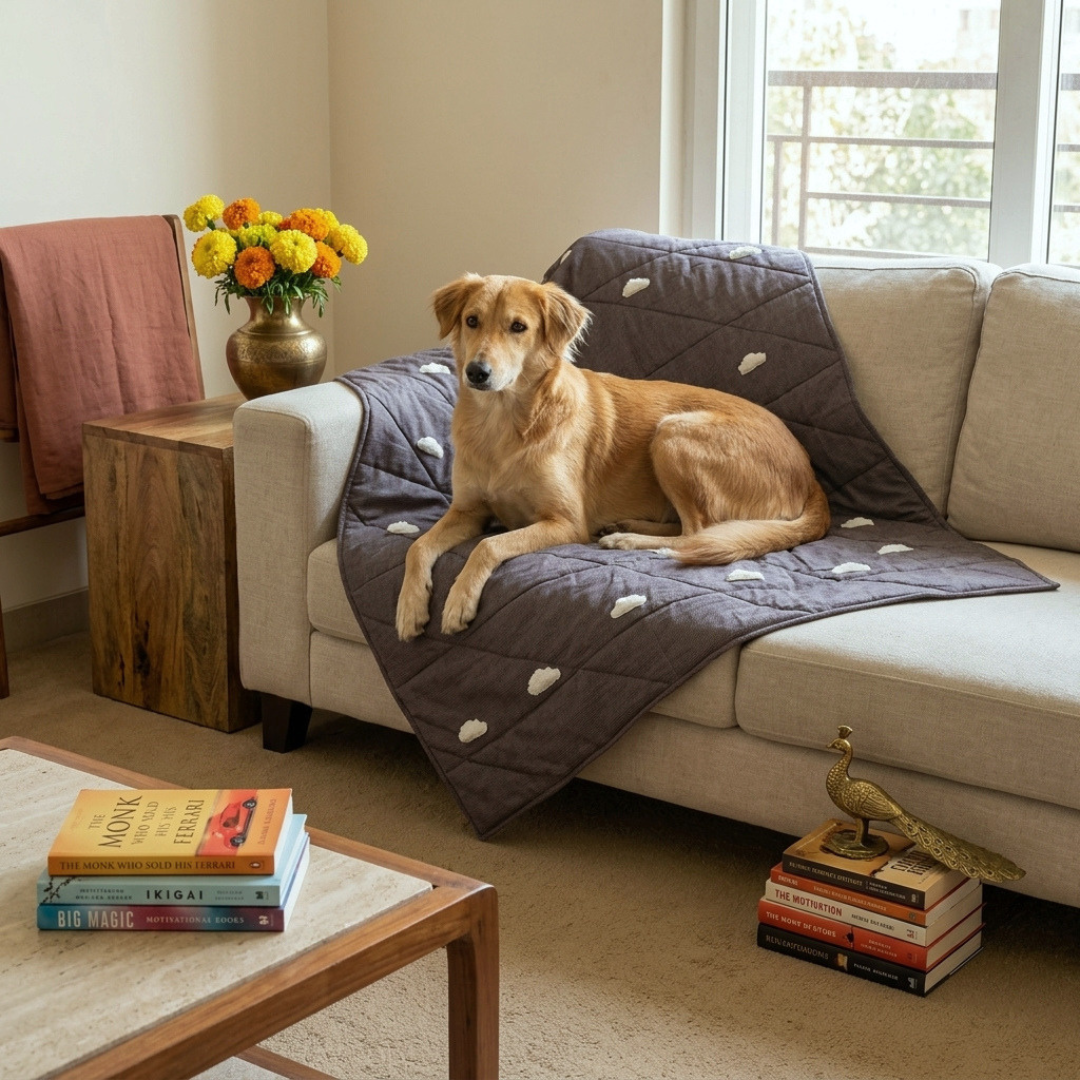 Dog Blankets Dubai | Cotton Dog Blankets online Dubai | PoochMate UAE