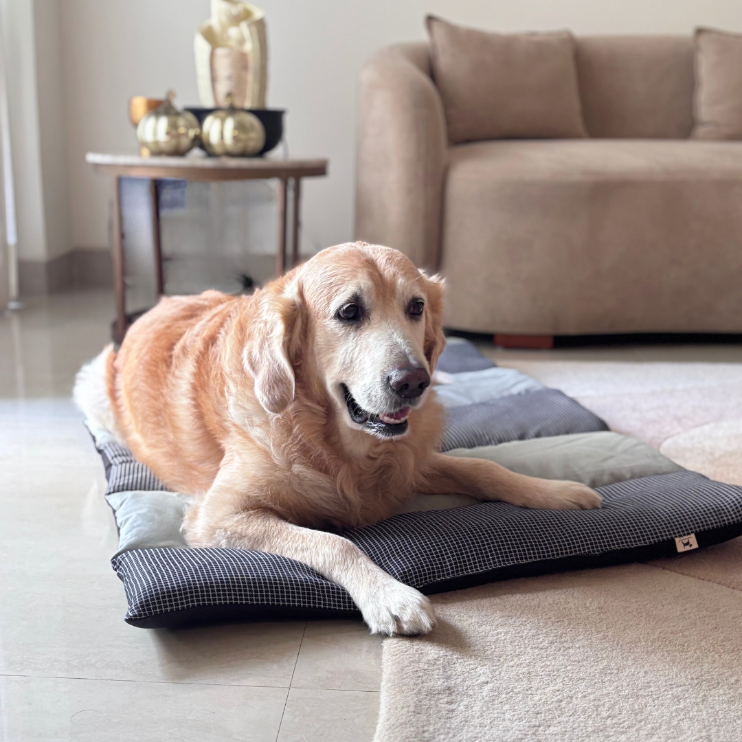 best dog beds for large dogs | luxury dog beds | washable dog beds | dog beds for large dogs