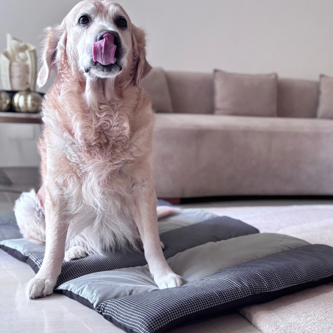 fluffy dog bed| dog mattress | Small dog beds | big dog bed