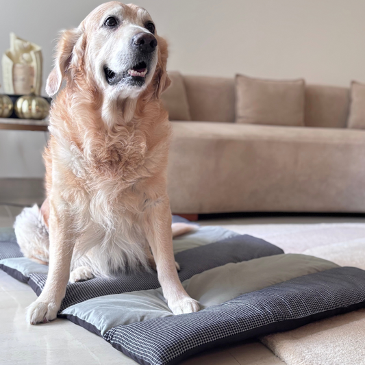 Best dog flat beds and mats in Dubai | Flat dog beds Dubai | PoochMate UAE