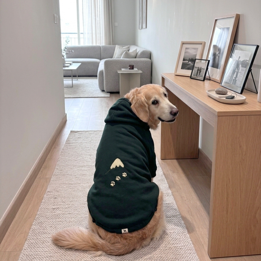 Dog Winter Clothes Dubai | Dog clothes online UAE | Dog hoodie Dubai