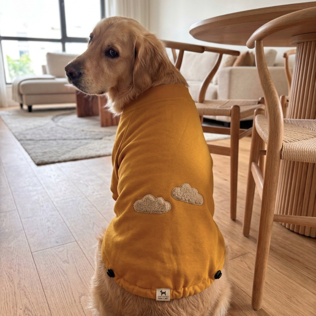 Dog clothes online Dubai | Dog winter clothes Dubai | Dog Sweatshirts for large dogs UAE | PoochMate UAE