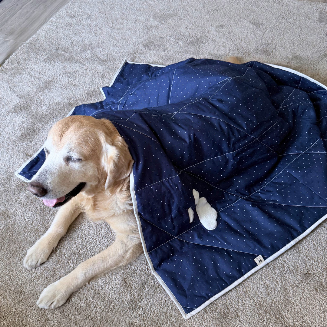 Cotton Dog Blankets Dubai | Soft Puppy Blankets | Washable dog blankets Dubai | Best Dog Blankets Dubai