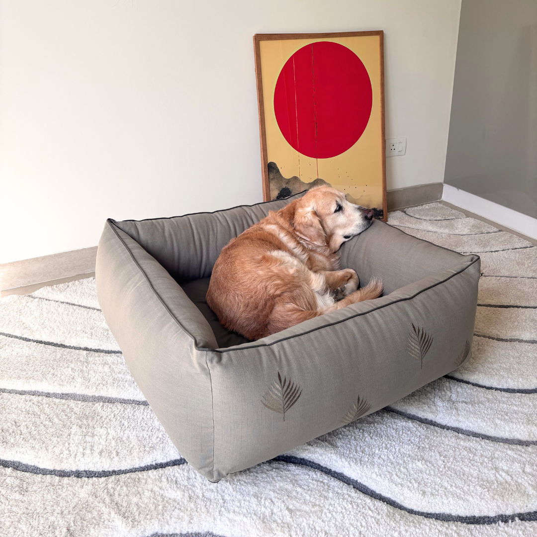 Personalized dog beds online India | Dog beds with name