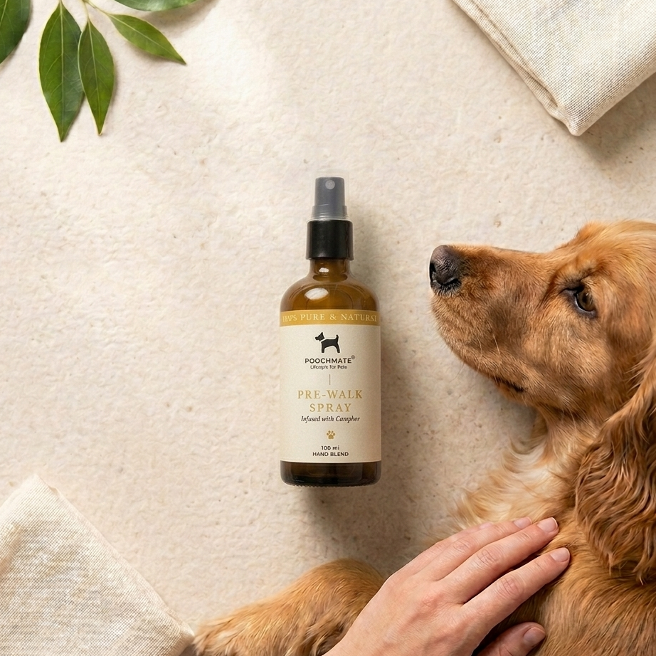 Tick & Flea Spray for dogs Dubai | Natural Tick & Flea Spray| Best dog tick spray online Dubai | Natural dog tick spray online Dubai