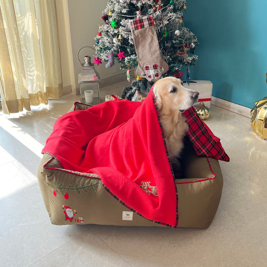 Dog Christmas Gifts Dubai | Pet Christmas costumer UAE