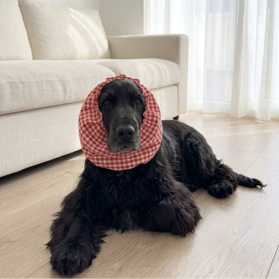 Dog Snood online UAE| Dog Snood online Dubai | Dog Snood for long eared dogs | Dog snoods for meals | Dog snoods for walking 