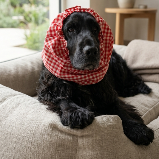 Dog Snood online UAE| Dog Snood online Dubai | Dog Snood for long eared dogs | Dog snoods for meals | Dog snoods for walking 