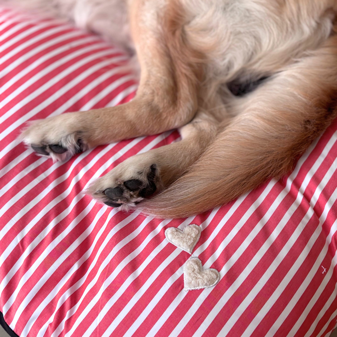 Dog mattress | Crate Beds for Dogs Dubai | PoochMate UAE