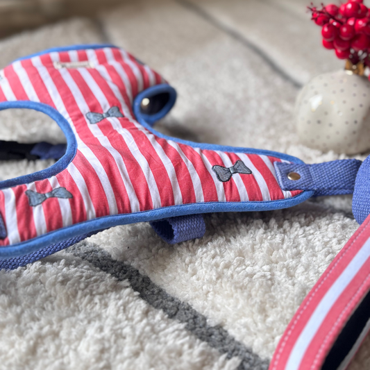 Dog Harness & Lead Set Dubai | Cotton dog harness Dubai