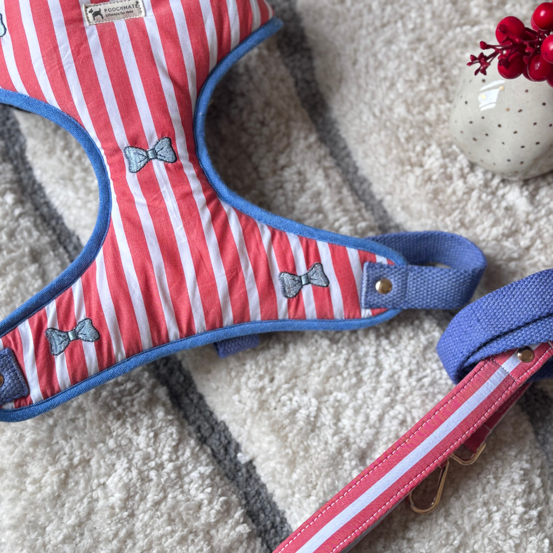 Dog Harness online UAE | Dog Harness online UAE