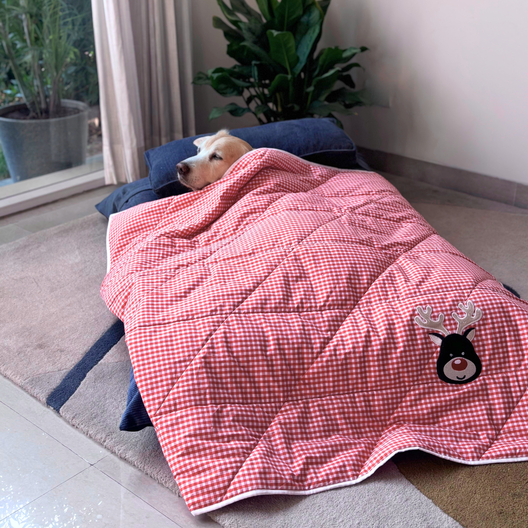 Dog Blankets Dubai | Cotton Dog Blankets online Dubai | PoochMate UAE