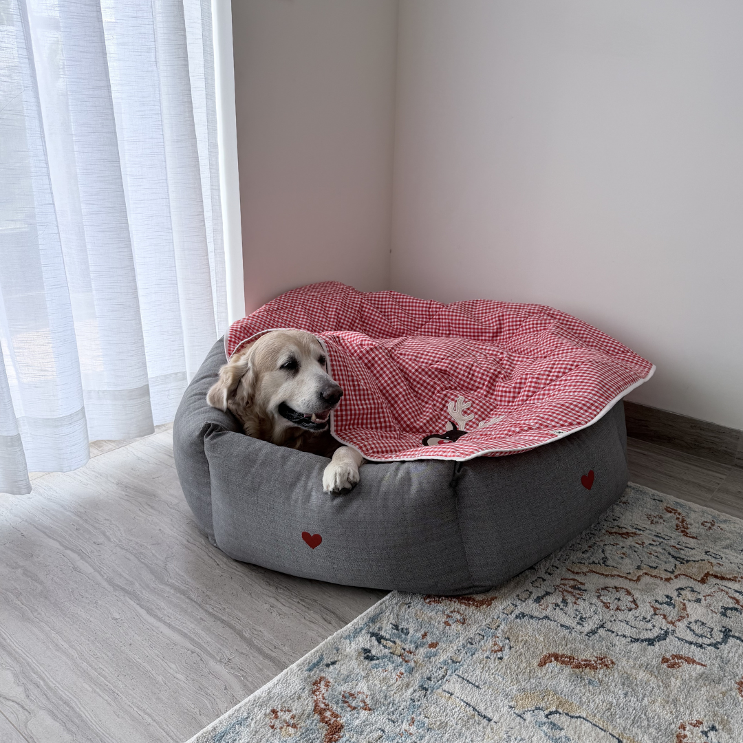 Cotton Pet Blankets Dubai | Soft Puppy Blankets | Washable pet blankets Dubai | Pet Blanket for bed