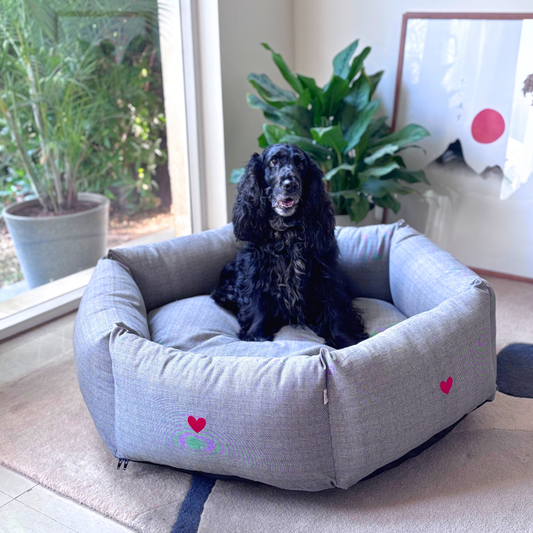 Luxury Washable Dog Beds Dubai | Best washable dog beds Dubai | Washable dog beds Dubai price | Washable cotton dog bed Dubai online