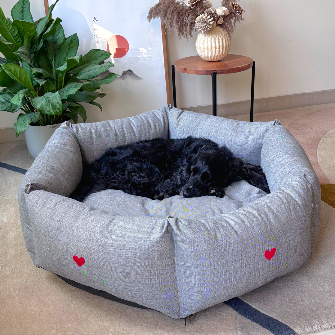 Luxury Washable Dog Beds Dubai | Best washable dog beds Dubai | Washable dog beds Dubai price | Washable cotton dog bed Dubai online