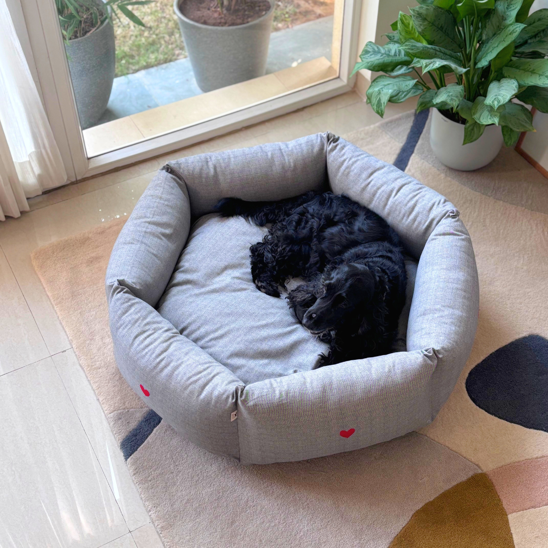 Best Washable Dog Beds Dubai | Best washable dog beds Dubai | Washable dog beds Dubai price | Washable cotton dog bed Dubai online