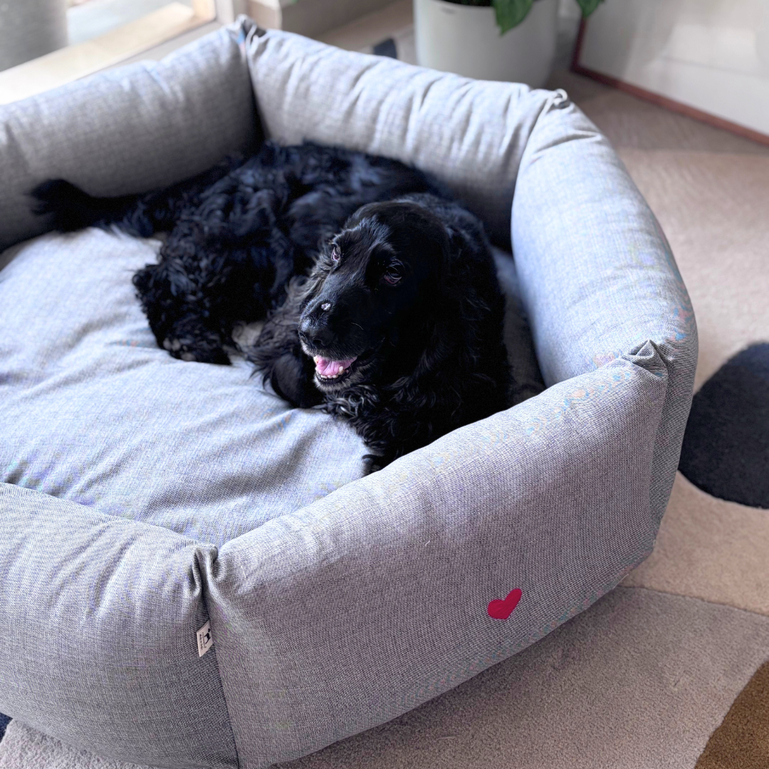 Round Washable Dog Beds Dubai | Best washable dog beds Dubai | Washable dog beds Dubai price | Washable cotton dog bed Dubai online