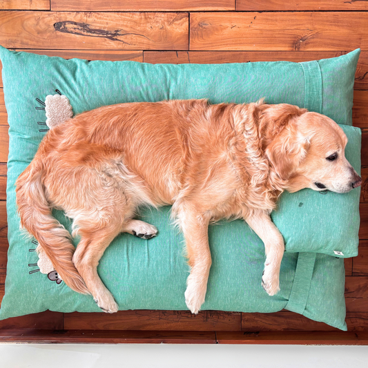 XL Dog Beds online Dubai |Online pet stores Dubai