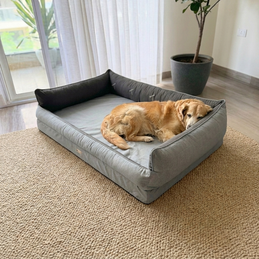 Orthopaedic dog beds Dubai| Memory foam dog beds Dubai| Memory foam dog sofa bed Dubai| Memory foam dog bed with raised sides UAE | PoochMate UAE memory Foam Dog bed